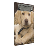 Labrador Retriever Welpe Mini Klemmbrett (Schrägansicht)