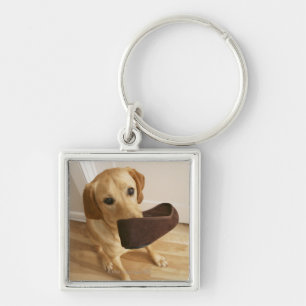 Labrador retriever-Welpe mit Pantoffel in seinem Schlüsselanhänger
