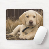 Labrador Retriever Welpe Mousepad (Mit Mouse)