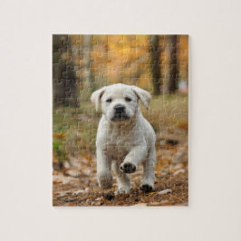 Labrador Retriever Welpe Puzzle