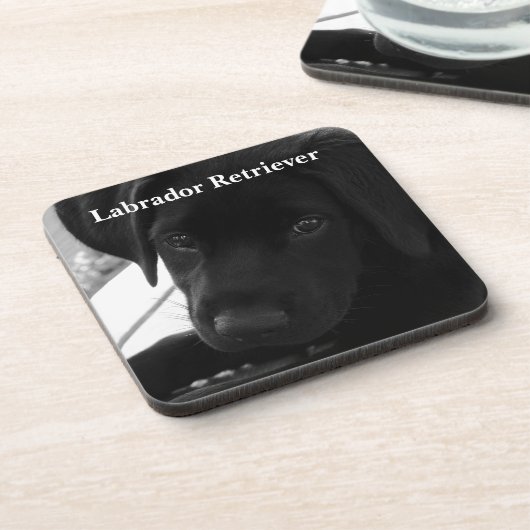 Labrador retriever-Welpe Untersetzer (Linke Seite)