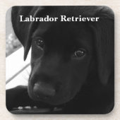 Labrador retriever-Welpe Untersetzer (Vorderseite)