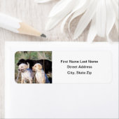 Labrador Retriever Welpen (Insitu)