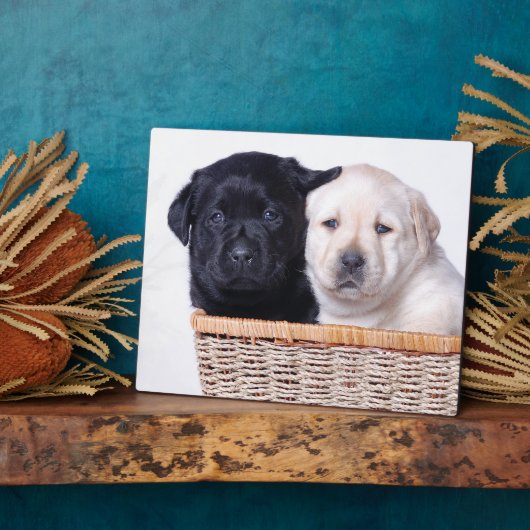 Labrador Retriever Welpen Fotoplatte (Seite)