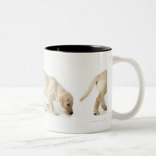Labrador retriever-Welpen-Gehen Zweifarbige Tasse
