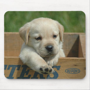 Labrador Retriever Welpen-Mauspad Mousepad