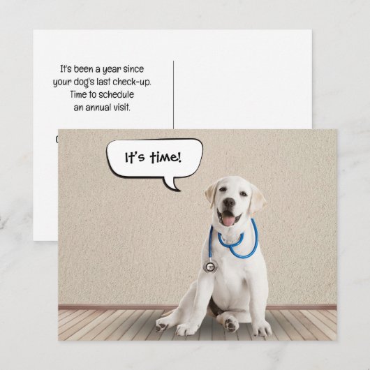 Labrador Retriever Withe Stethoscope Postkarte (Vorne/Hinten)
