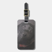 Labrador Retriever Zeichnend Gepäckanhänger (Vorderseite vertikal)