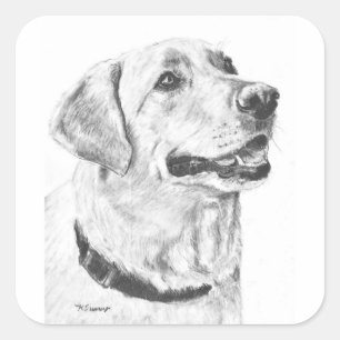 Labrador Retriever Zeichnend Quadratischer Aufkleber