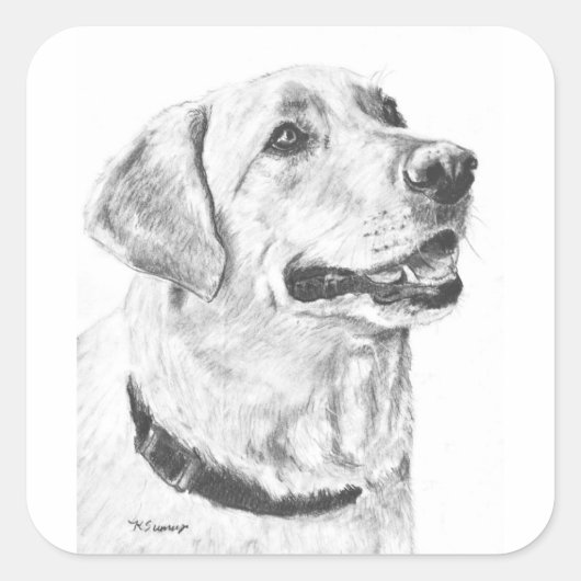Labrador Retriever Zeichnend Quadratischer Aufkleber (Vorderseite)