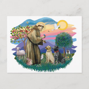 Labrador Retriever (zwei) Postkarte
