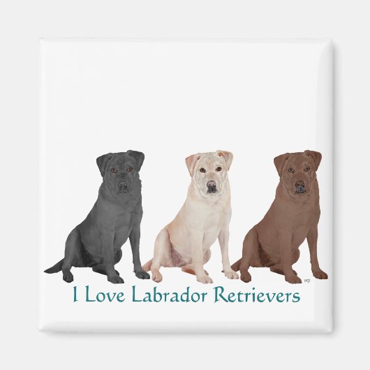Labrador Retrievers - 3 Farben zur Liebe Magnet (Vorne)