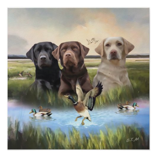 Labrador Retrievers (Jagdhunde) Poster (Vorderseite)