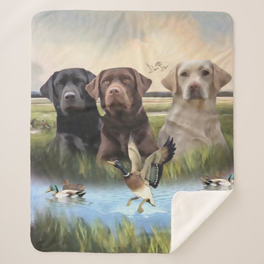 Labrador Retrievers (Jagdhunde) Sherpadecke (Vorderseite)