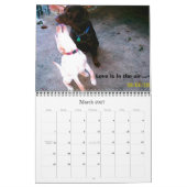 Labrador Retrievers Kalender (Mär 2027)