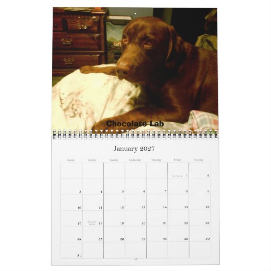 Labrador Retrievers Kalender (Jan 2027)