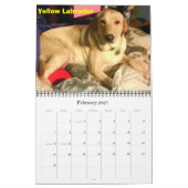Labrador Retrievers Kalender (Feb 2027)