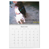 Labrador Retrievers Kalender (Mär 2026)