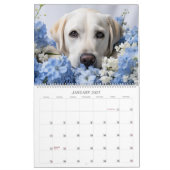 Labrador Retrievers Kalender (Jan 2027)