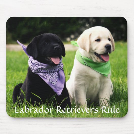 Labrador Retrievers Regel Welpen Mousepad (Vorne)