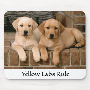 Labrador Retrievers Regel Welpen Mousepad