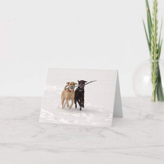 Labrador Retrievers spielen im Schneefall Karte (Vorderseite)