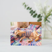 Labrador ruht auf farbenfroher Bettdecke Postkarte (Stehend Vorderseite)