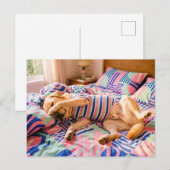 Labrador ruht auf farbenfroher Bettdecke Postkarte (Vorne/Hinten)