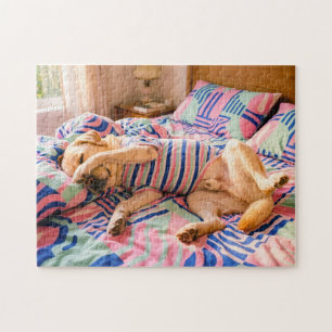 Labrador ruht auf farbenfroher Bettdecke Puzzle