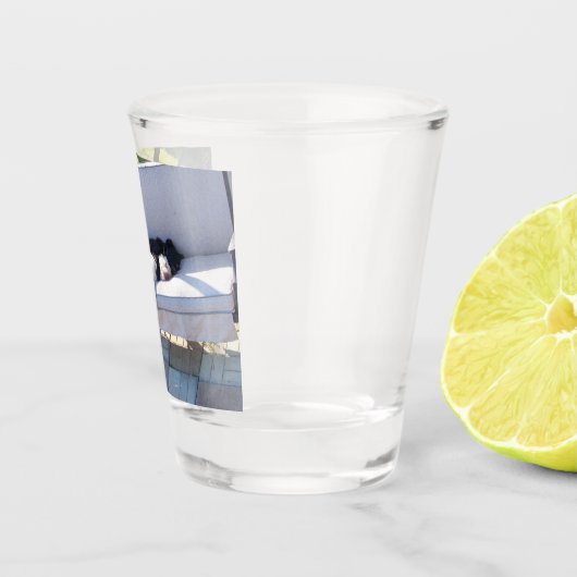Labrador Schnapsglas (Rechts)