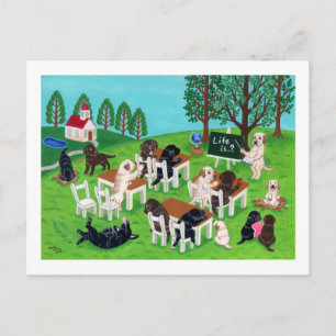 Labrador School Postkarte