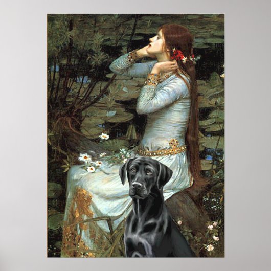 Labrador (schwarz 1) - Ophelie Poster (Vorne)