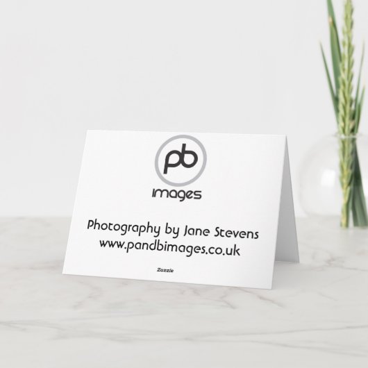 Labrador - Schwarz Feiertagskarte (Rückseite)