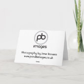 Labrador - Schwarz Feiertagskarte (Rückseite)