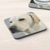 Labrador-Set von sechs Untersetzer (Linke Seite)