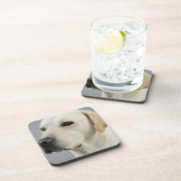 Labrador-Set von sechs Untersetzer