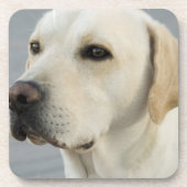 Labrador-Set von sechs Untersetzer (Vorderseite)
