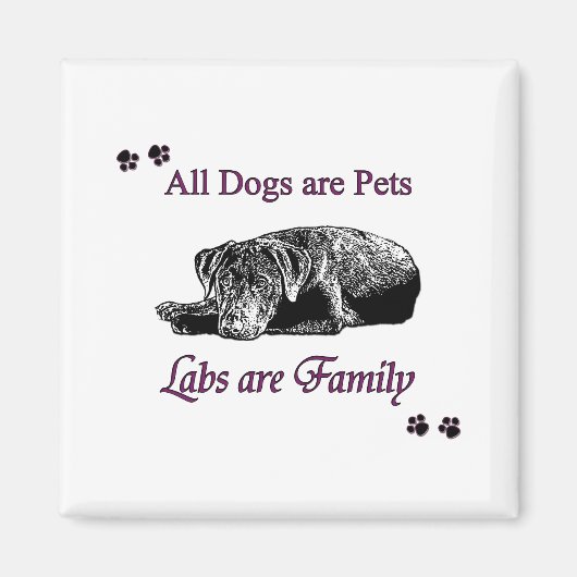 Labrador sind Familie Magnet (Vorne)