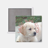 Labrador sind Liebe Magnet (Vorderseite/Rückseite)