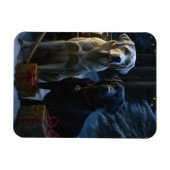 Labrador Snowy Sleigh Weihnachtsdekor Magnet (Horizontal)