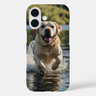 Labrador Splash iPhone 16 Hülle