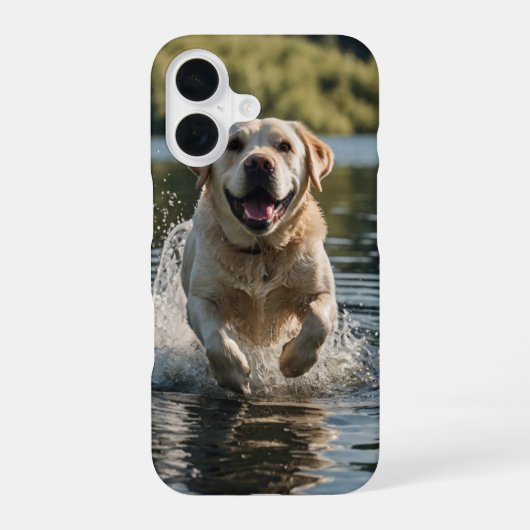 Labrador Splash iPhone 16 Hülle (Rückseite)