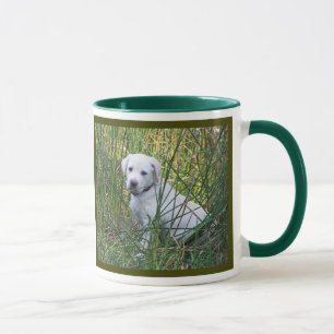 Labrador Tasse