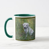Labrador Tasse (Links)