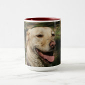 Labrador-Tasse Tasse (Zentrum)