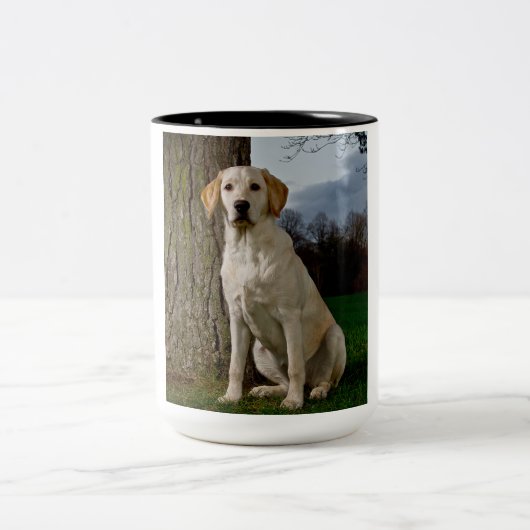 Labrador-Tasse Zweifarbige Tasse (Mittel)