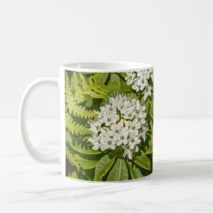 Labrador Tea Blume Tasse