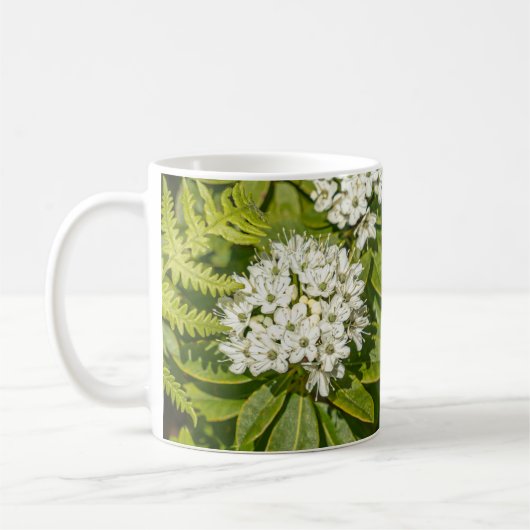 Labrador Tea Blume Tasse (Links)