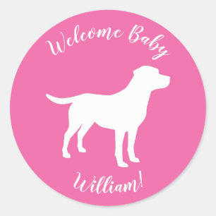 Labrador Theme Dog Baby Dusche Pink Labrador Runder Aufkleber