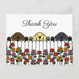 Labrador Trio, der Ihnen auf der Postkarte zusieht